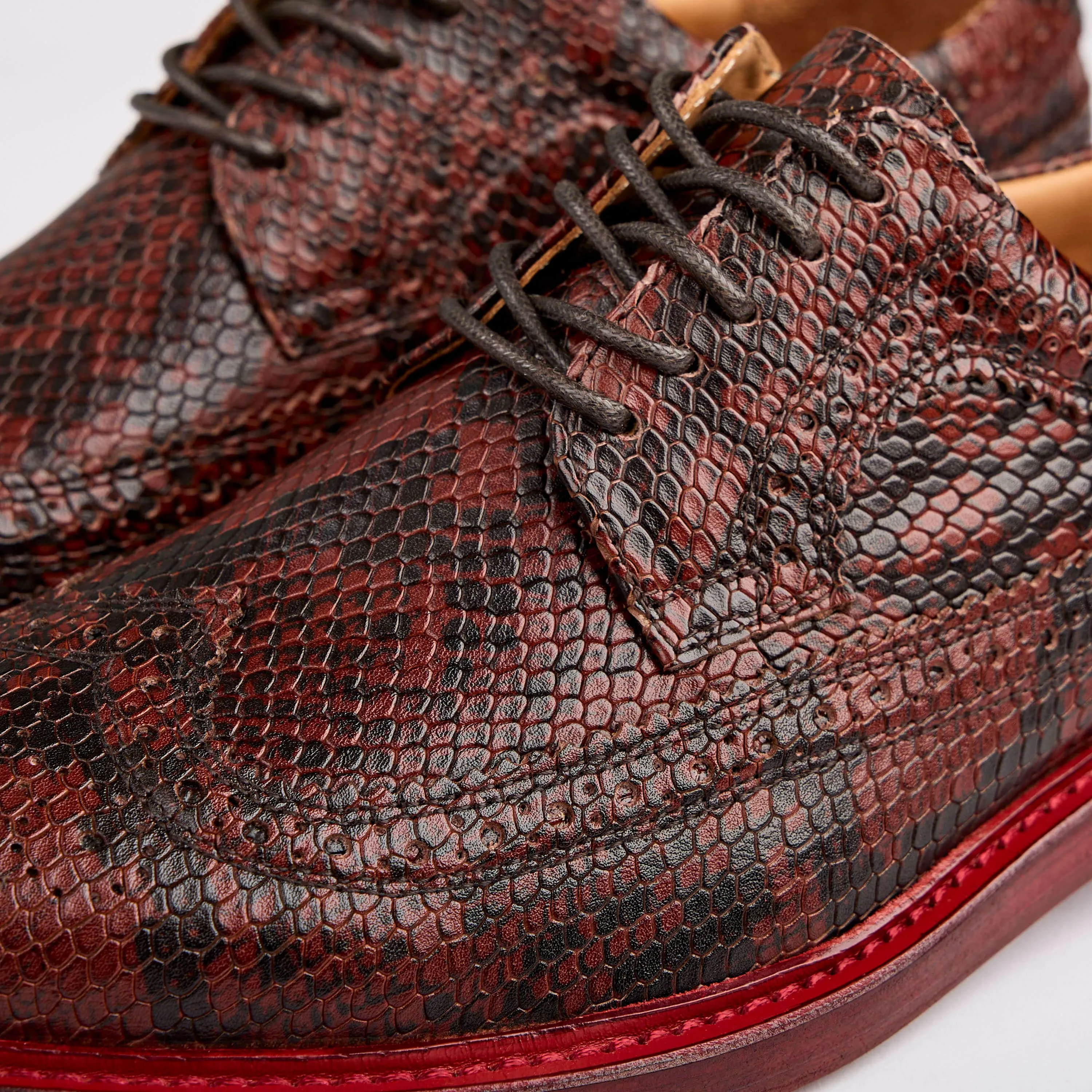 Alexander Brown Snake Leather Longwings