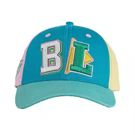 Color Block Dad Hat